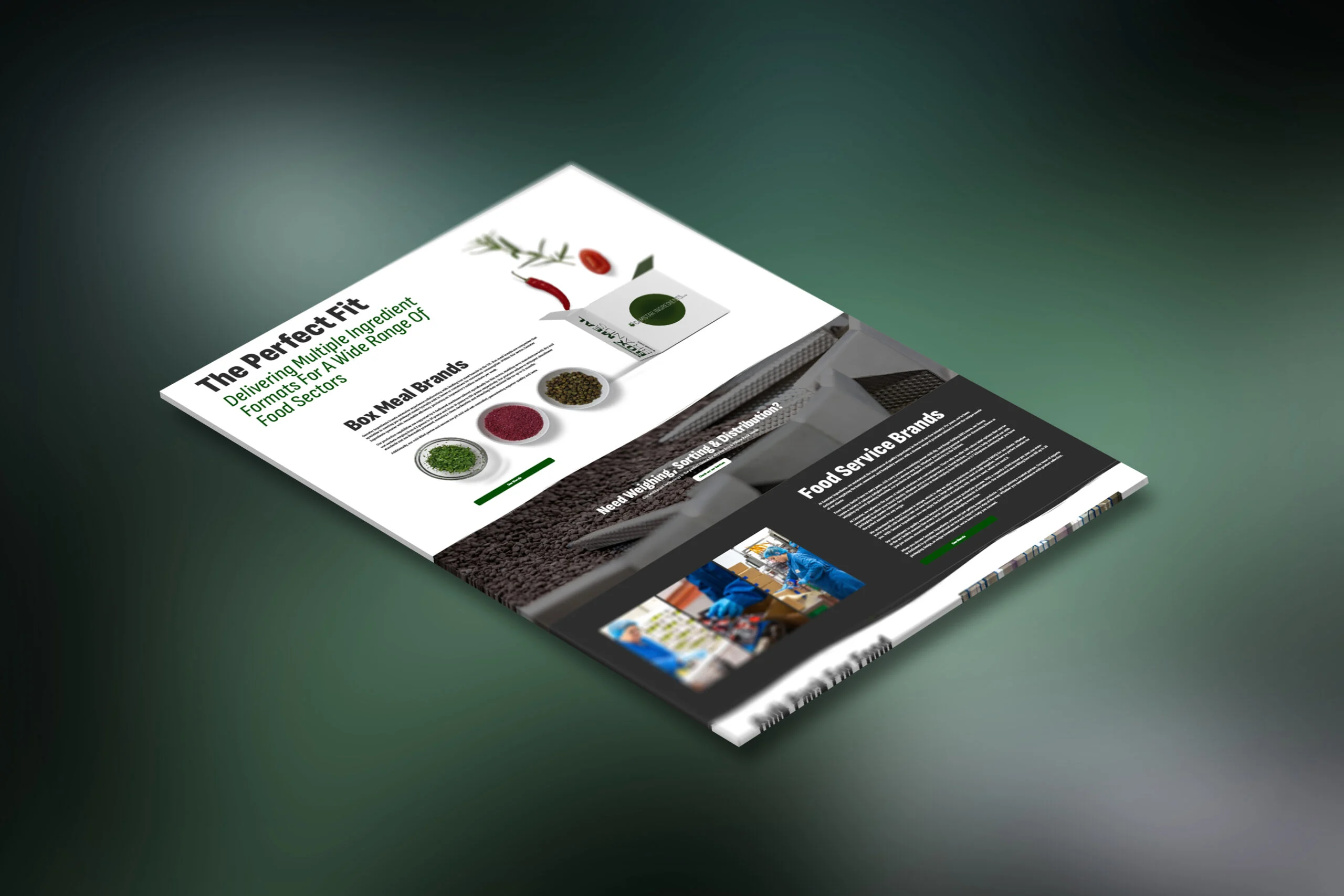 Phil Shaw - Web Design, Brand Engineering - Phil Shaw Digital Media