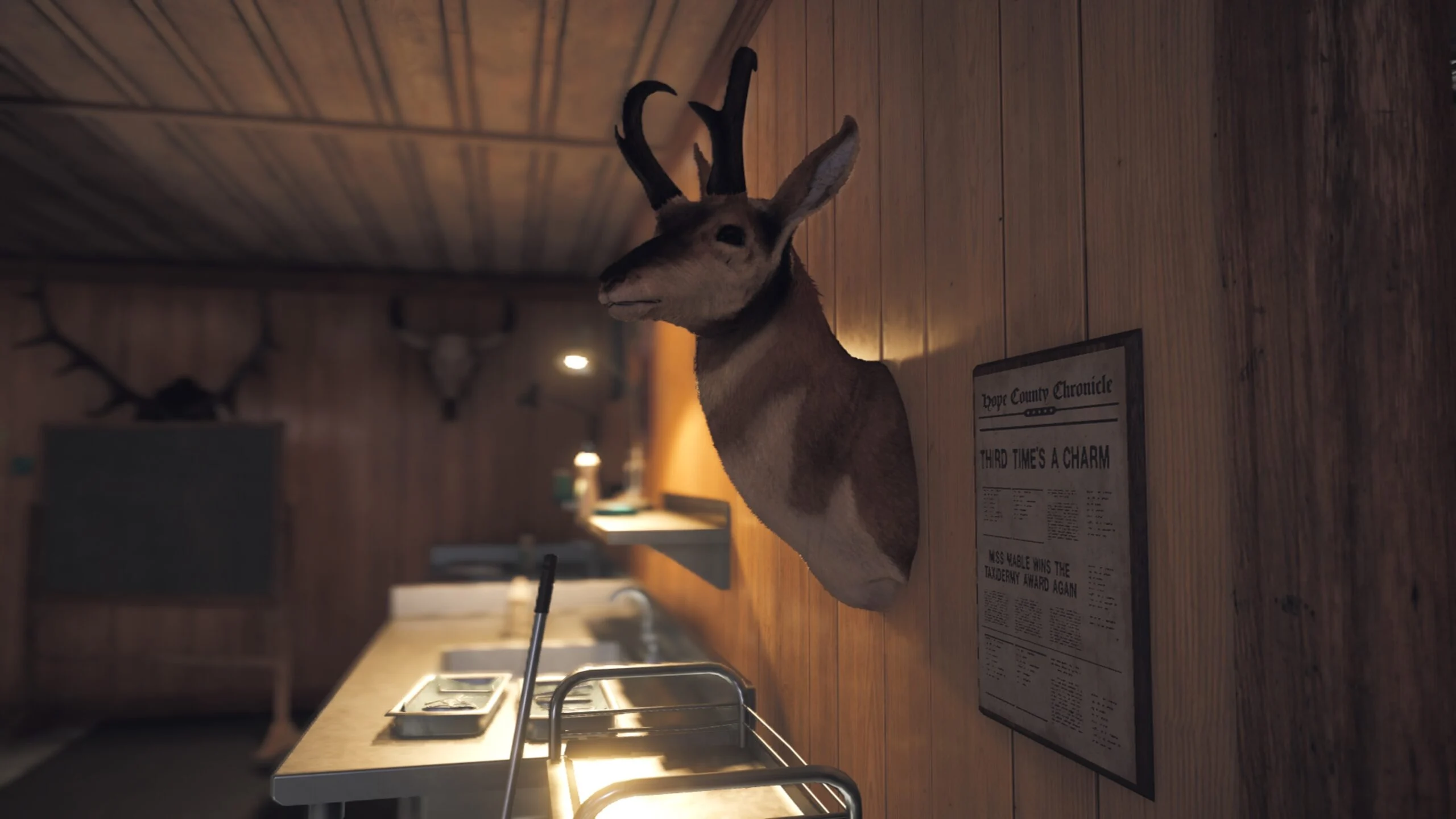 Far Cry 5 Game Photography by Phil Shaw - Graphic Design, Brand Engineering - Phil Shaw Digital Media