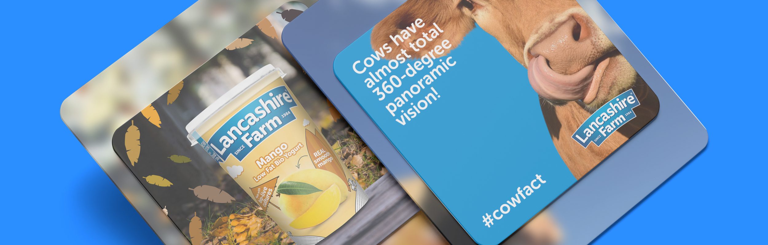 Lancashire Farms - Graphic Design, Brand Engineering - Phil Shaw Digital Media